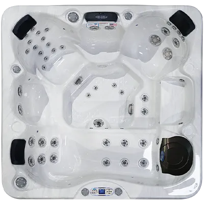 Avalon EC-849L hot tubs for sale in Bristol