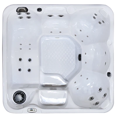 Hawaiian PZ-636L hot tubs for sale in Bristol